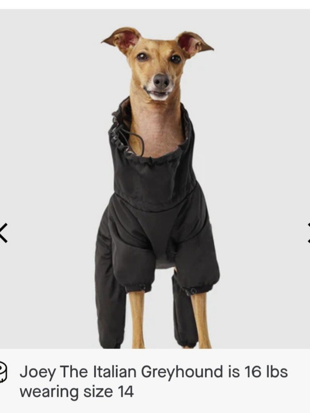 Canada Pooch Snow Suit NWT  Various Sizes  12 - 28